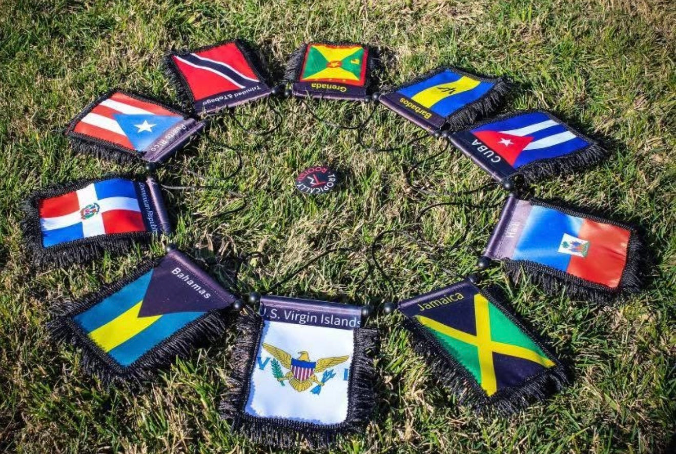 Rear View Mirror Flags