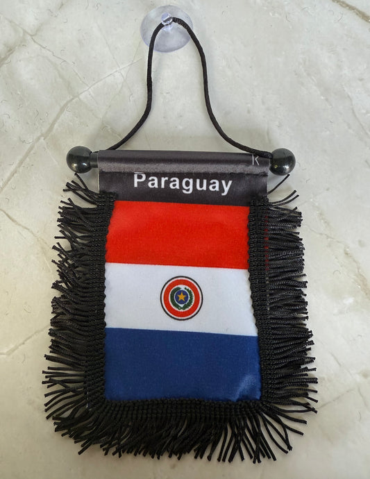 Paraguay Rear View Mirror Flag